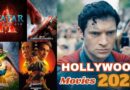 Upcoming Hollywood Movies In 2025: ‘सुपरमैन’ से ‘अवतार 3’ तक, हॉलीवुड में रहेगा सीक्वल्स और रीमेक्स का बोलबाला