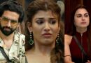 Bigg Boss 19: अमाल ने फरहाना के लिए किया था आपत्तिजनक शब्द का इस्तेमाल, एपिसोड में किया गया म्यूट, बेघर होने के बाद नेहल ने की पुष्टि