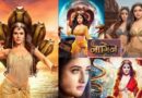 Naagin and Bigg Boss: एकता कपूर को ‘बिग बॉस’ के घर में मिलीं 7 नागिनें! सातवें सीजन की नागिन बनीं प्रियंका चहर चौधरी