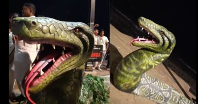 Anaconda at SRK’s Manant: मुंबई में शाह रुख खान के बंगले के सामने दिखा विशालकाय एनाकोंडा! सेल्फी लेने वालों की लगी भीड़