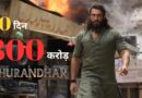 Dhurandhar Box Office Day 30: रिलीज के 30वें दिन ‘धुरंधर’ ने रचा इतिहास, हिंदी सिनेमा में 800 करोड़ क्लब की शुरुआत